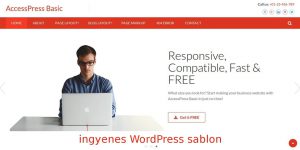 AccessPress Basic ingyenes WordPress sablon